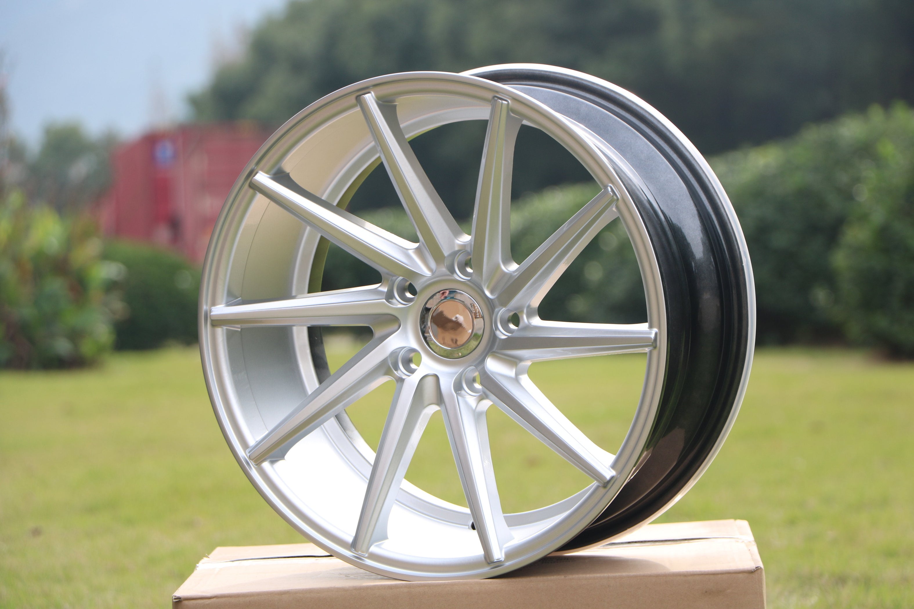 Swirly Pattern Rims 20